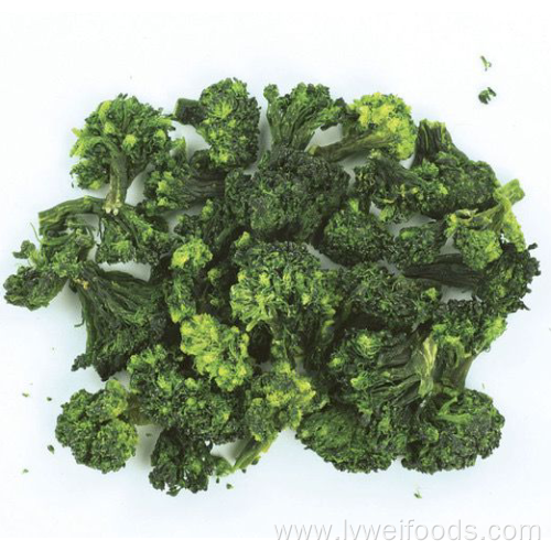 High quality dehydrated broccoli 5*5mm